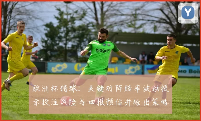 欧洲杯猜球：关键对阵赔率波动提示投注风险与回报预估并给出策略建议