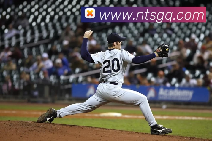 开云app最新版下载 - 开云(中国)服务体系